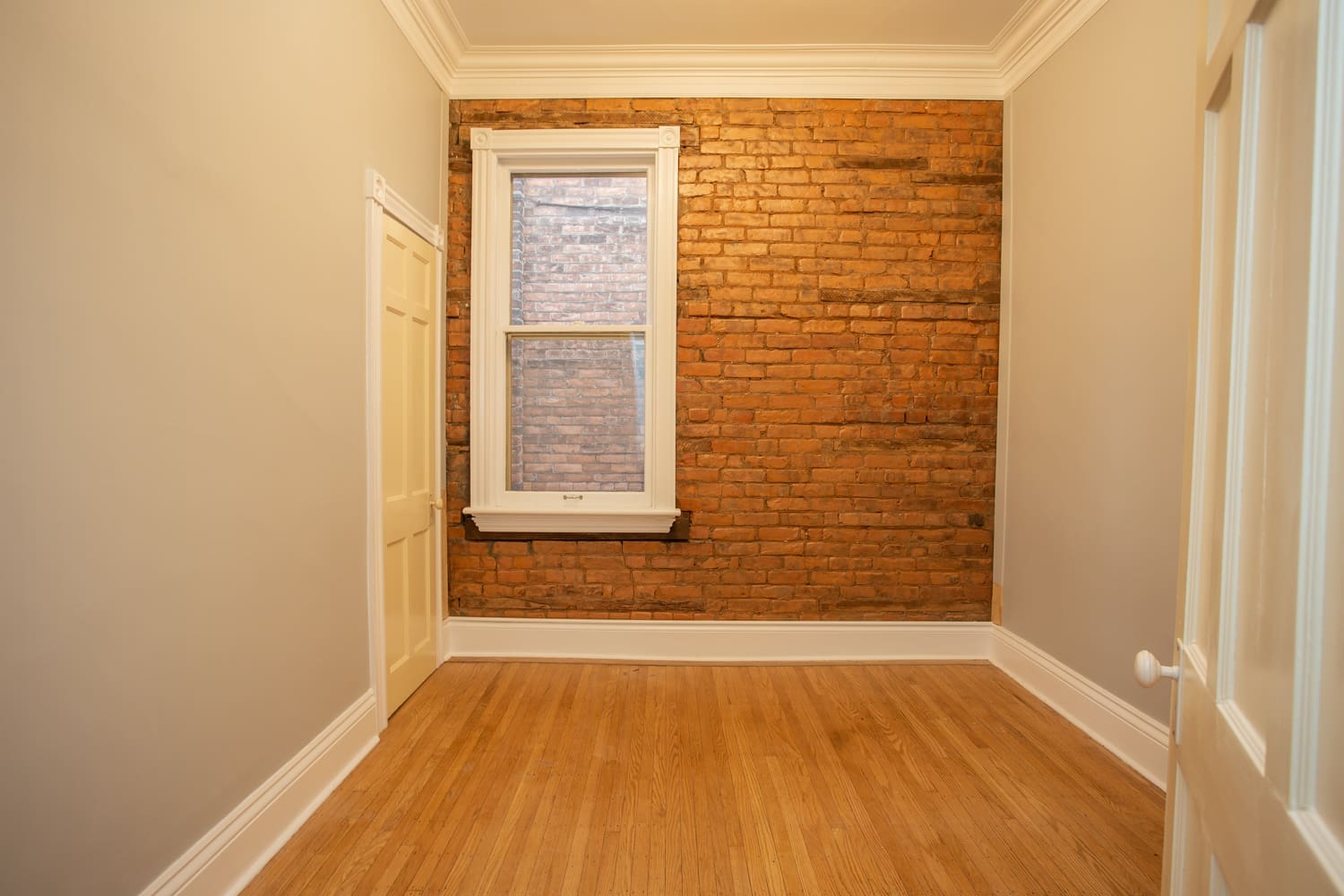 88 Peter Street Hamilton Real Estate Woolcott Real Estate