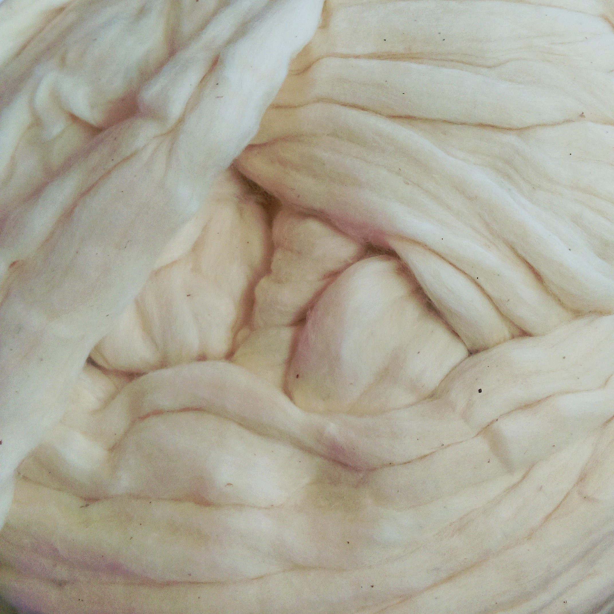 Undyed Fibre Cotton Roving Wool Craft SA