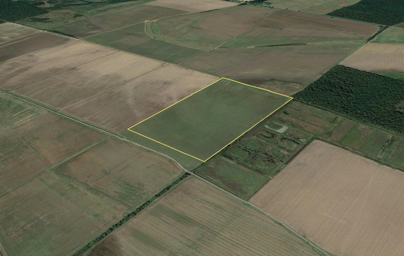 Farmland and Residential Home Online Auction in Lonoke, AR