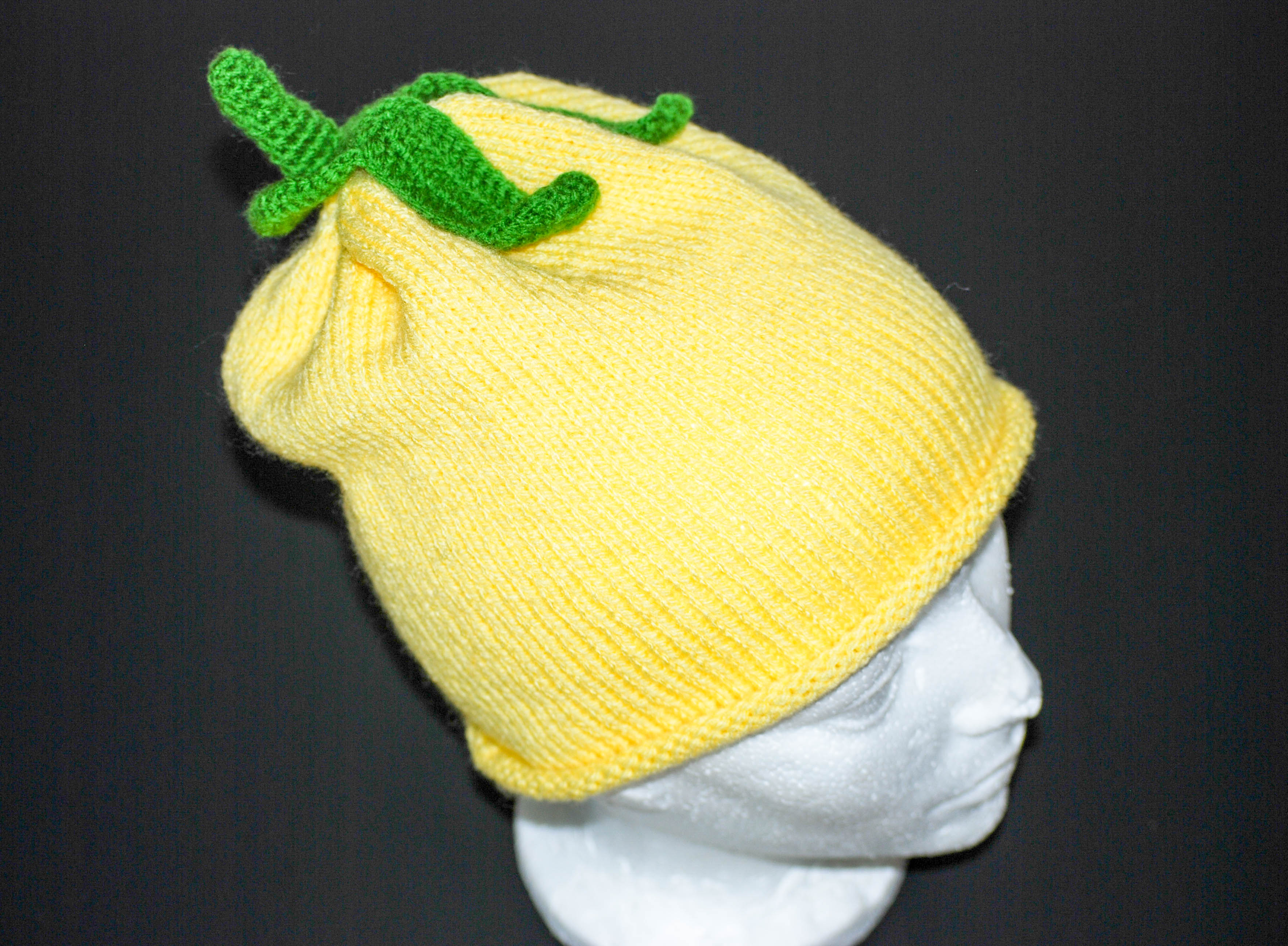 Fruits & Veggies Hat Kits Wool N'Things