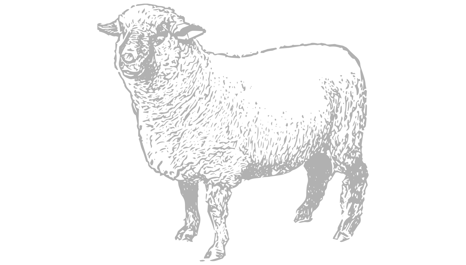 World's Largest Wool Processing Facility Woolworks