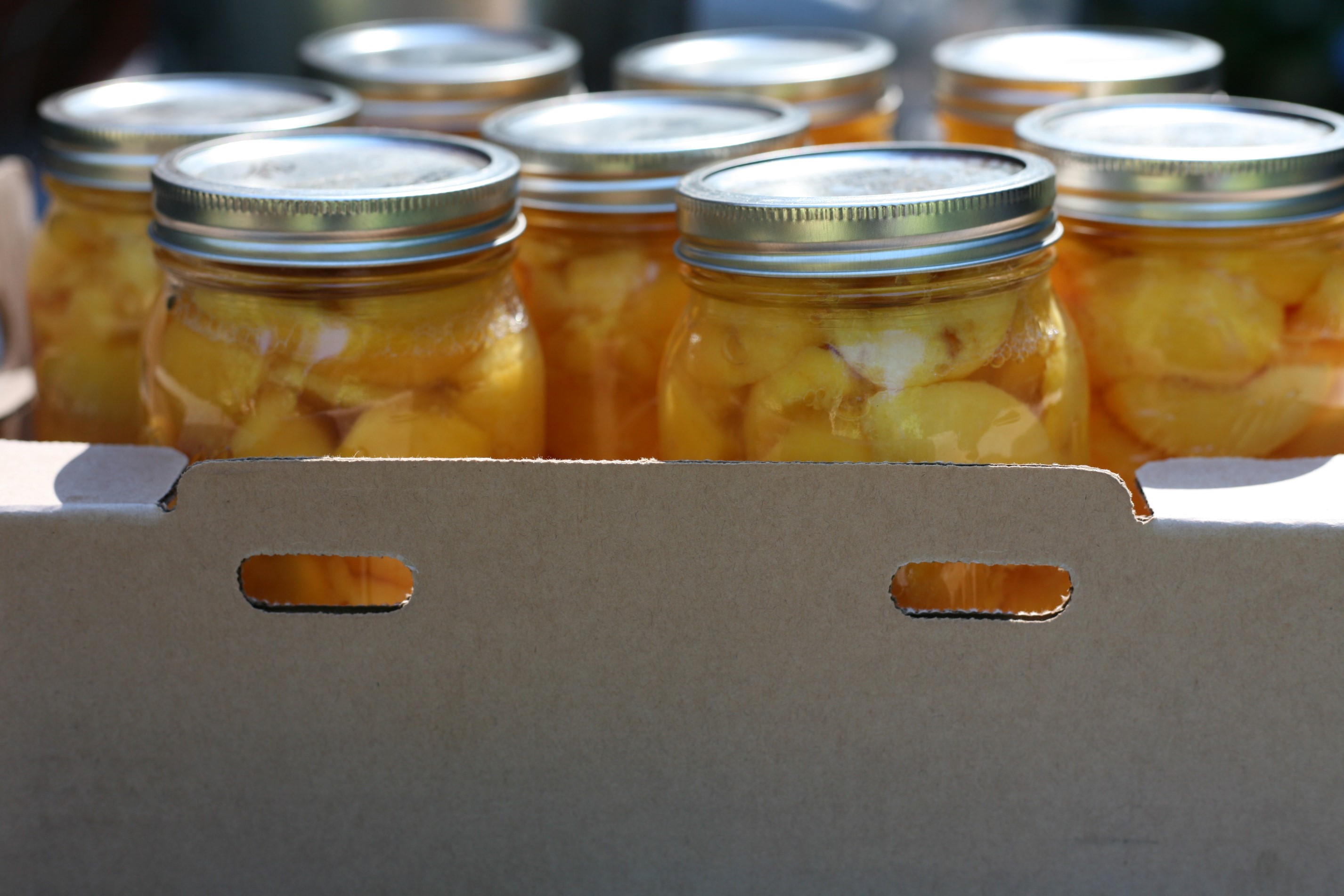 in jars {peaches} WoolyMossRoots