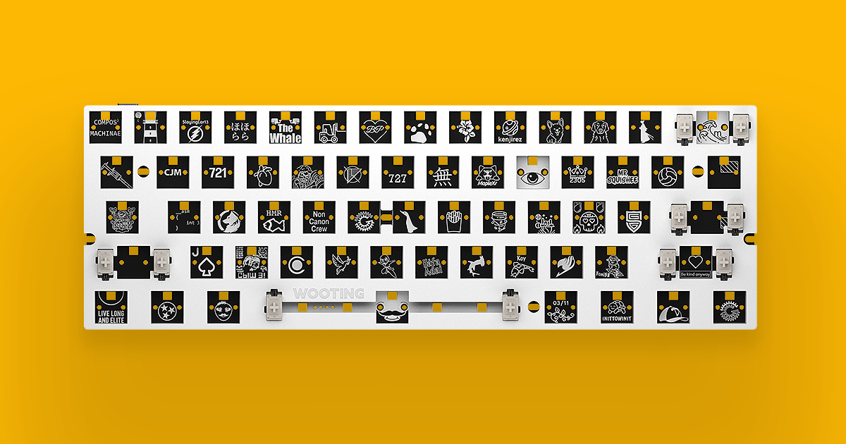 Wooting 60HE+ Module guides