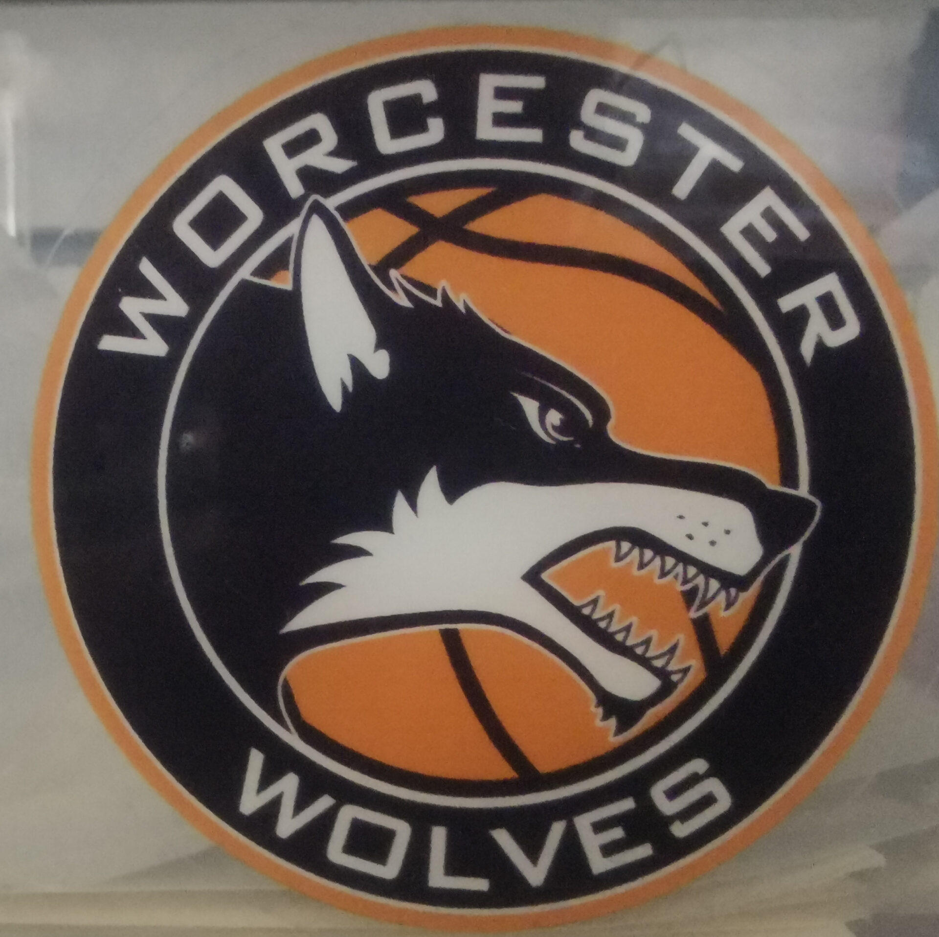 Worcester Wolves Logo Window Sticker Worcester Wolves Basketball Club