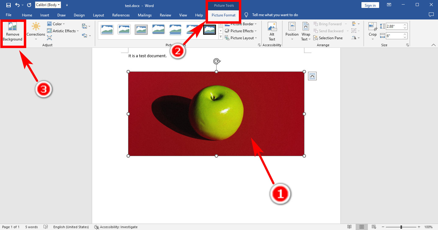 How to Remove Background of a Picture in Word Easily