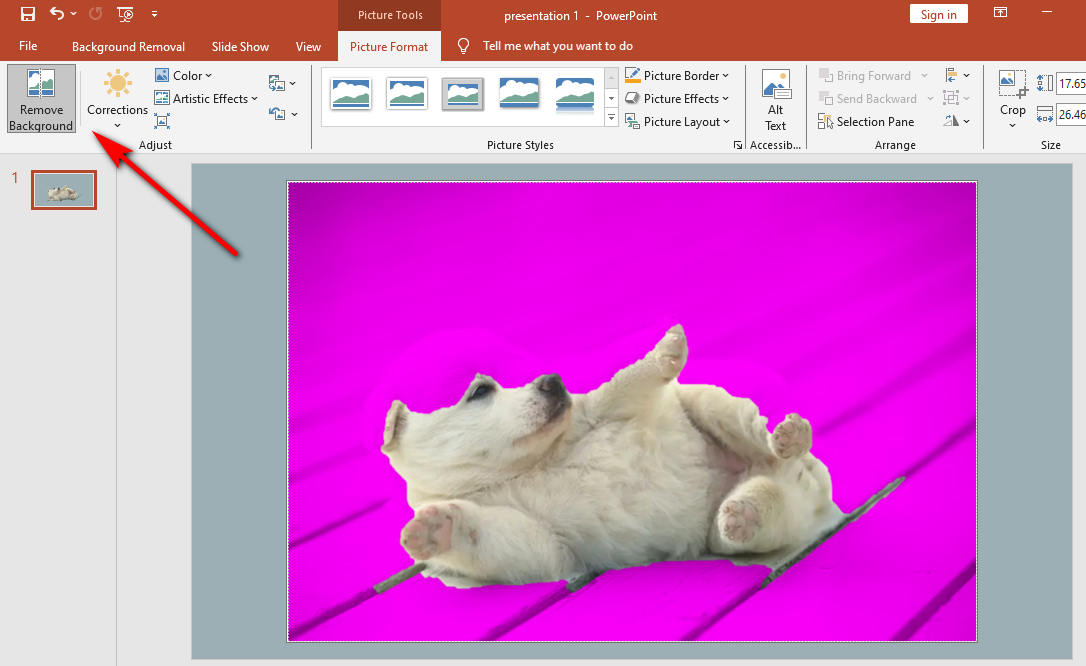 How to Remove White Background from Image in PowerPoint