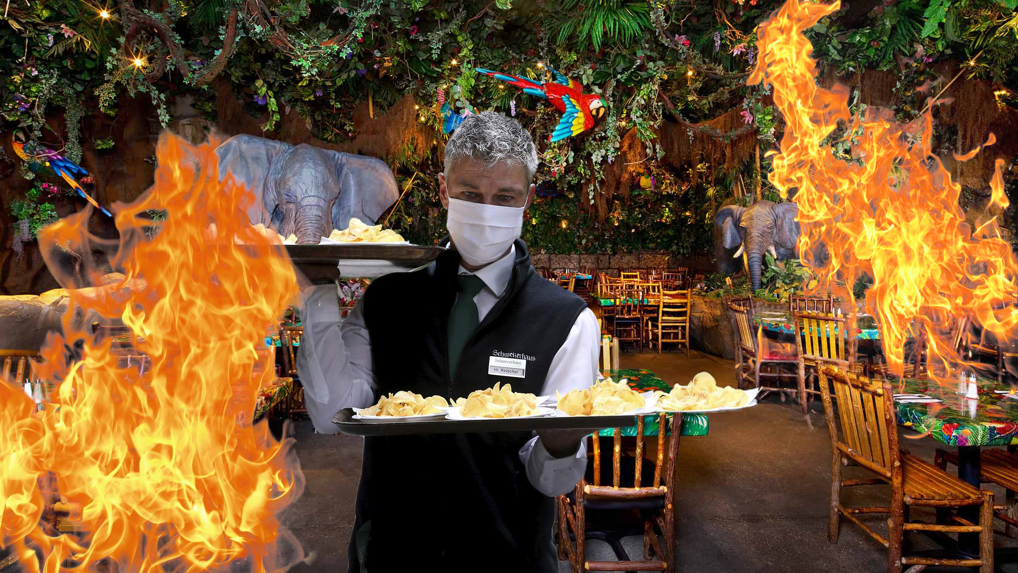 Kitchen Fire Adds Extra Authenticity To Rainforest Cafe WordBrothel