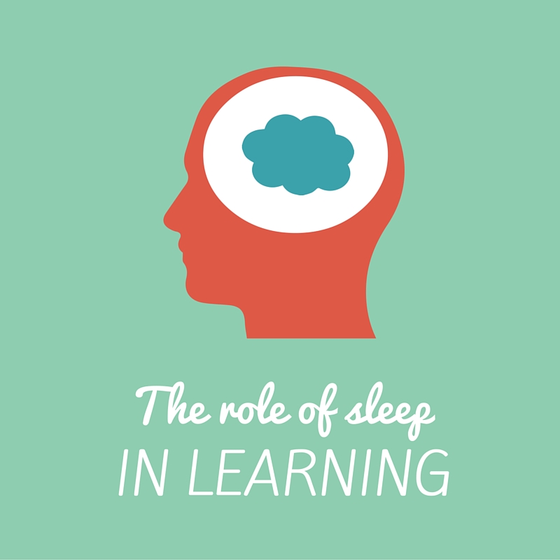 The role of sleep in learning