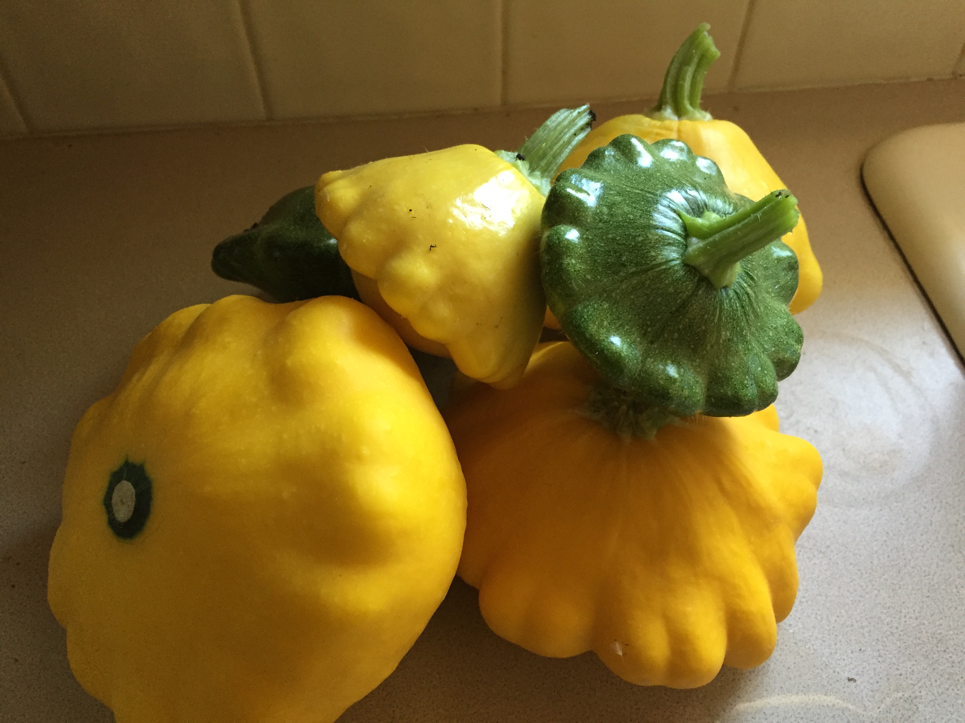 Breaking News! Summer squash, rabbits share tendencies. Word