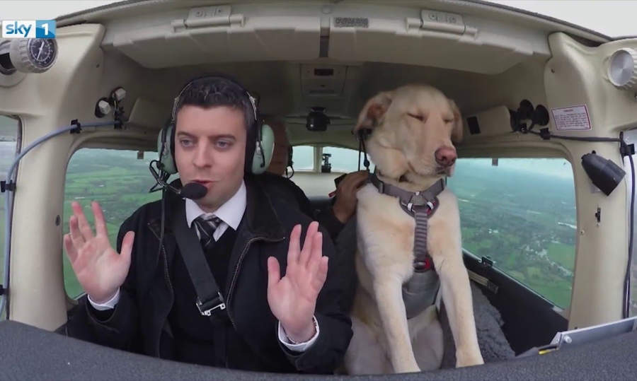 A Dog Flying a Plane WordlessTech