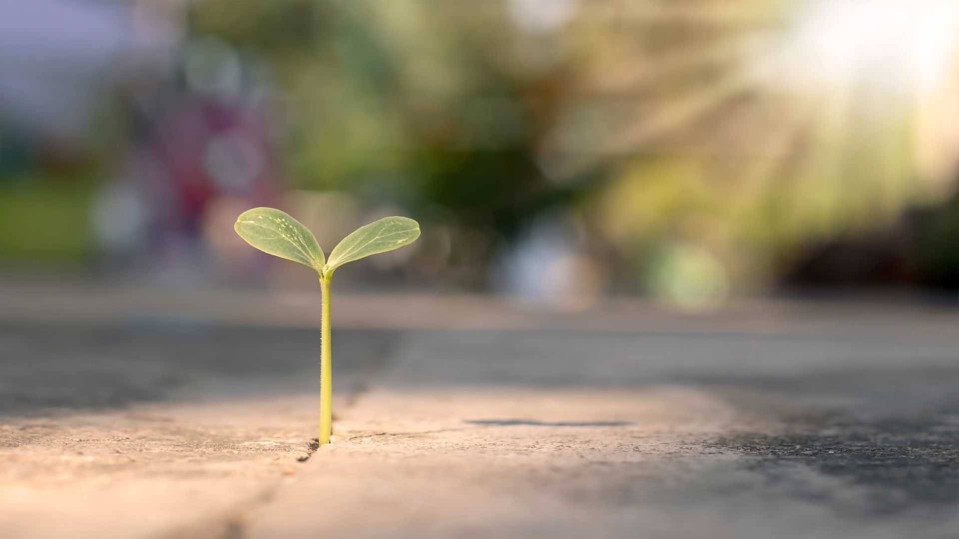Importance of Patience in Islam Virtues and Rewards of Patience