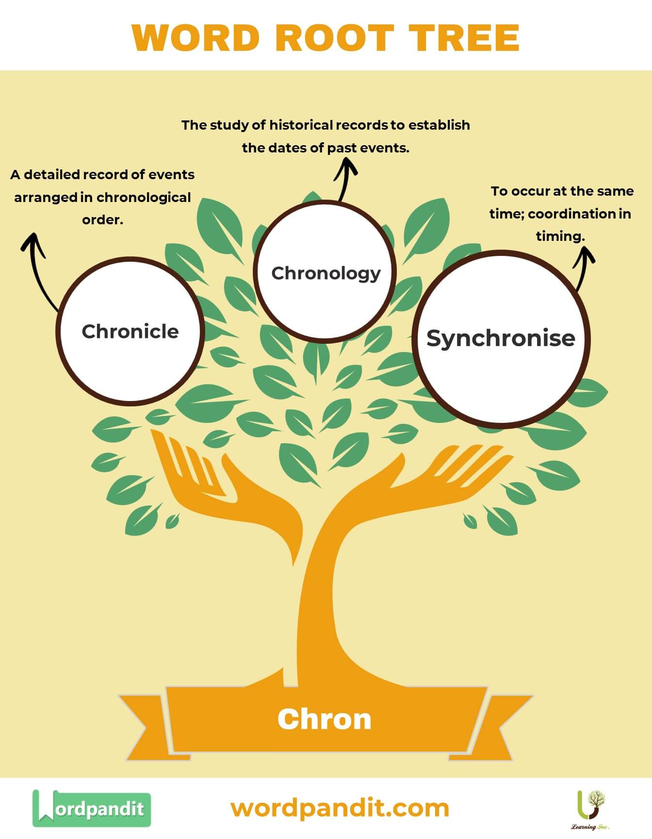 The 'Chron' Word Root Meaning, Definition, and Examples