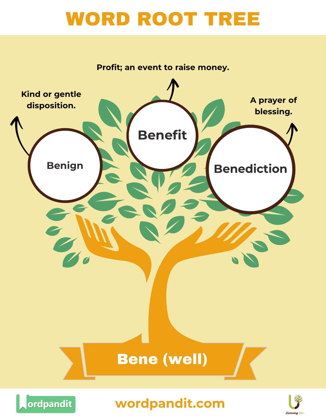 Aceto Root Word Definition, Meaning, and Examples