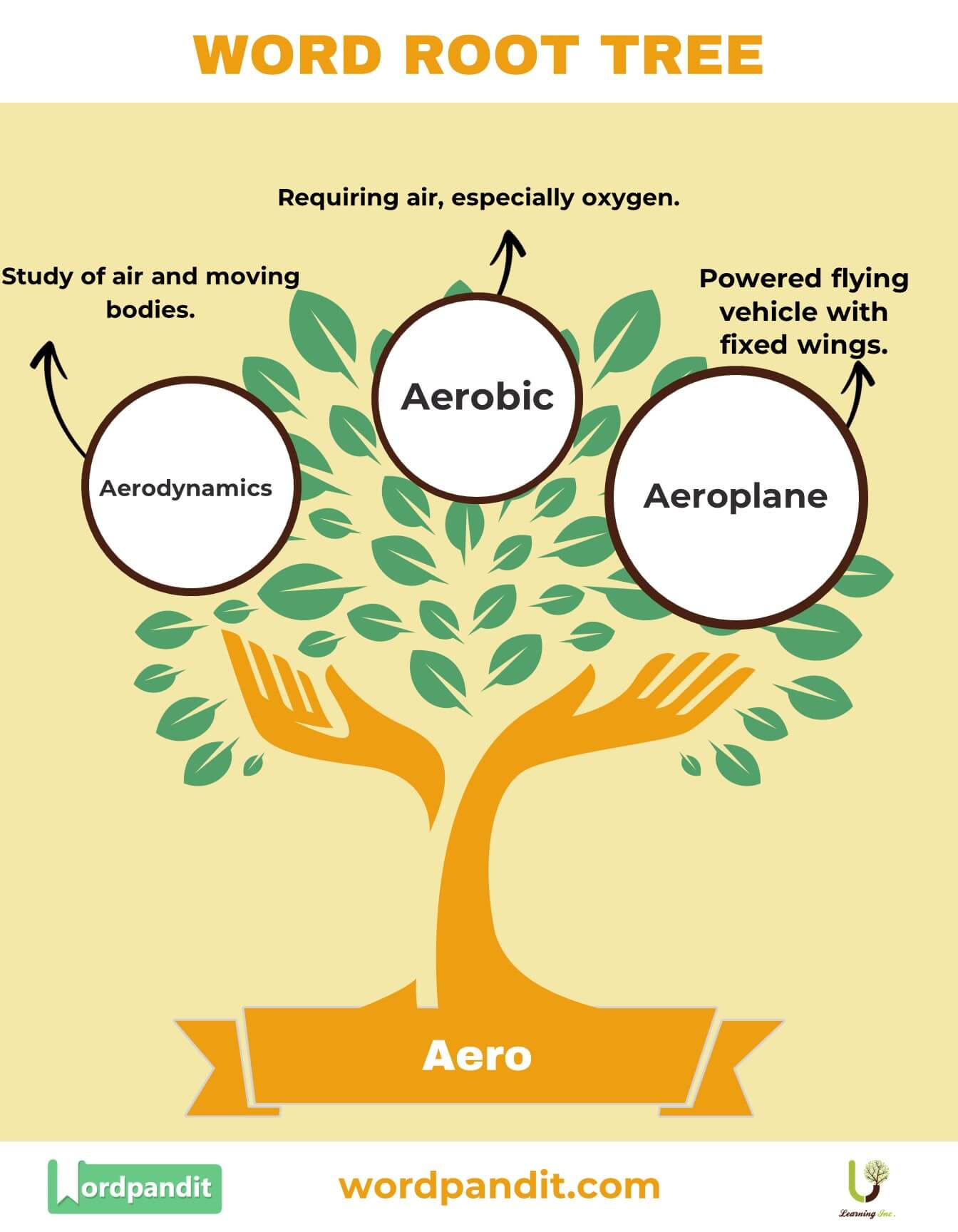 Aero Word Root: Meaning, Examples, and Related Terms
