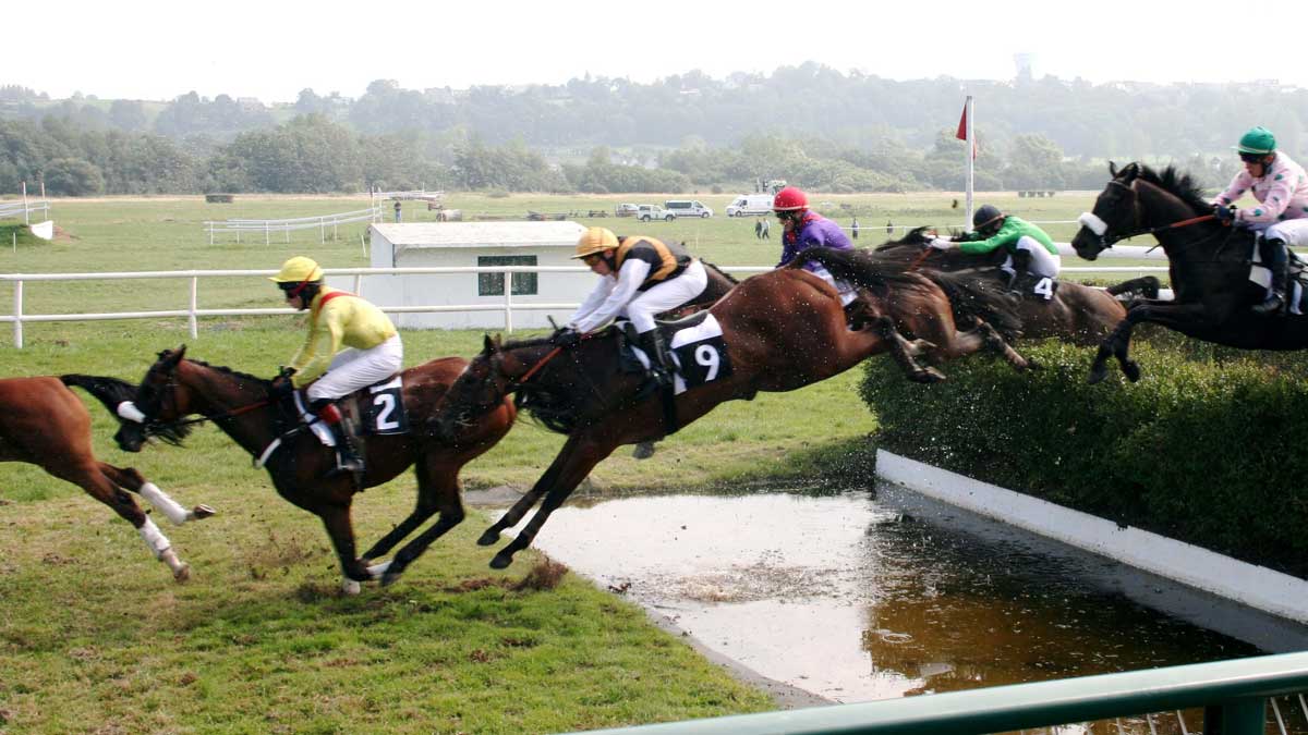 What is steeplechase horse racing?