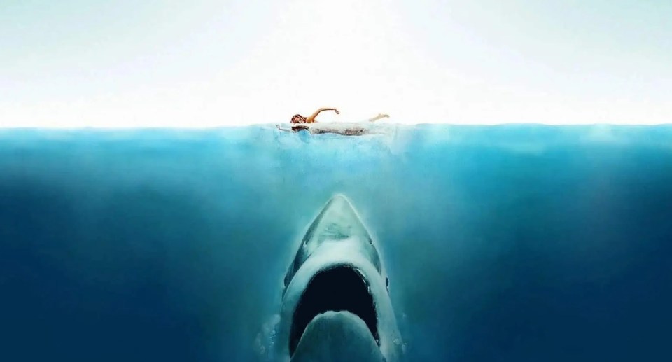 As Ocean Water Gets Worse, Sharks’ Teeth Start to Dissolve