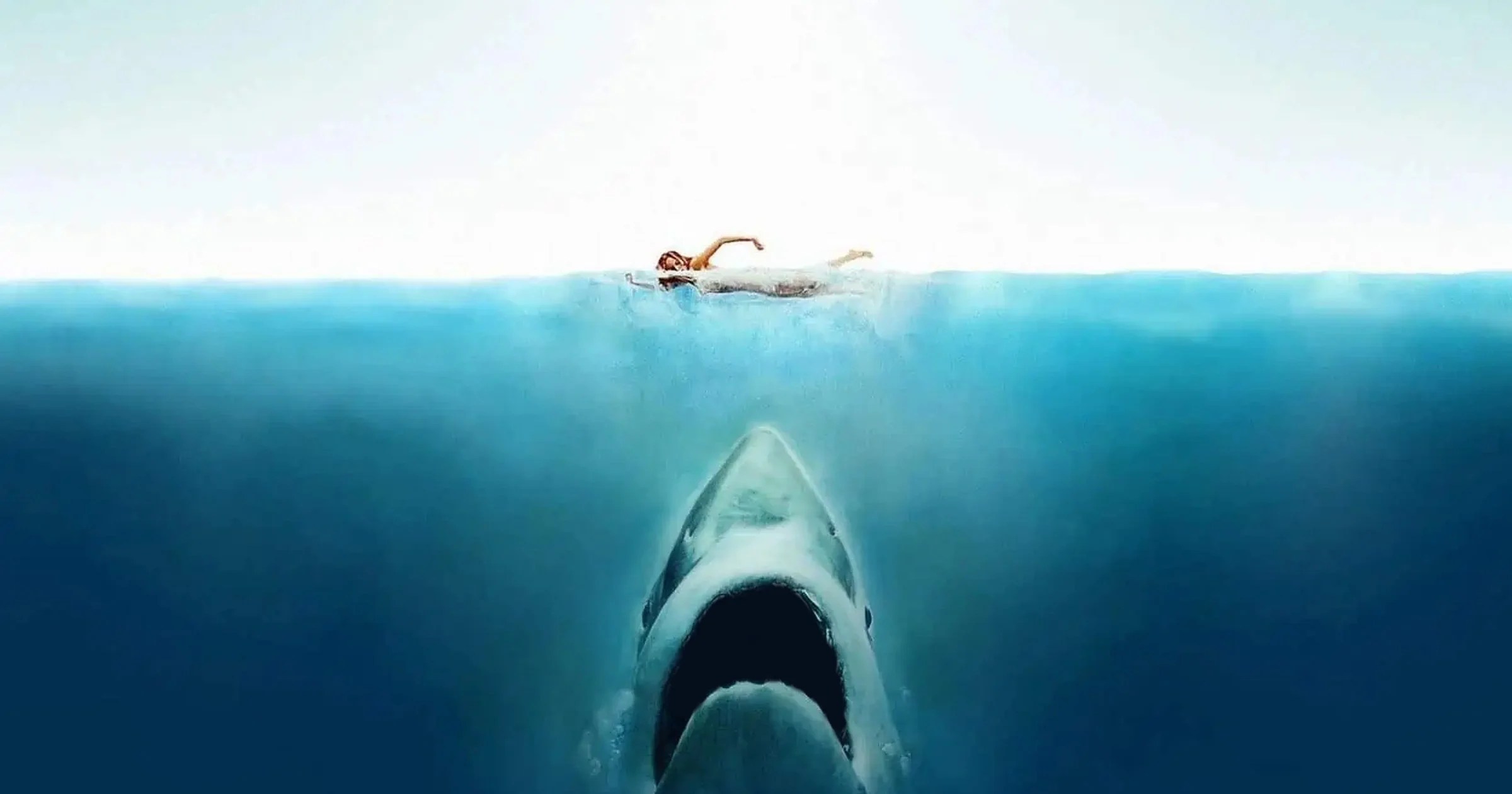 As Ocean Water Gets Worse, Sharks’ Teeth Start to Dissolve