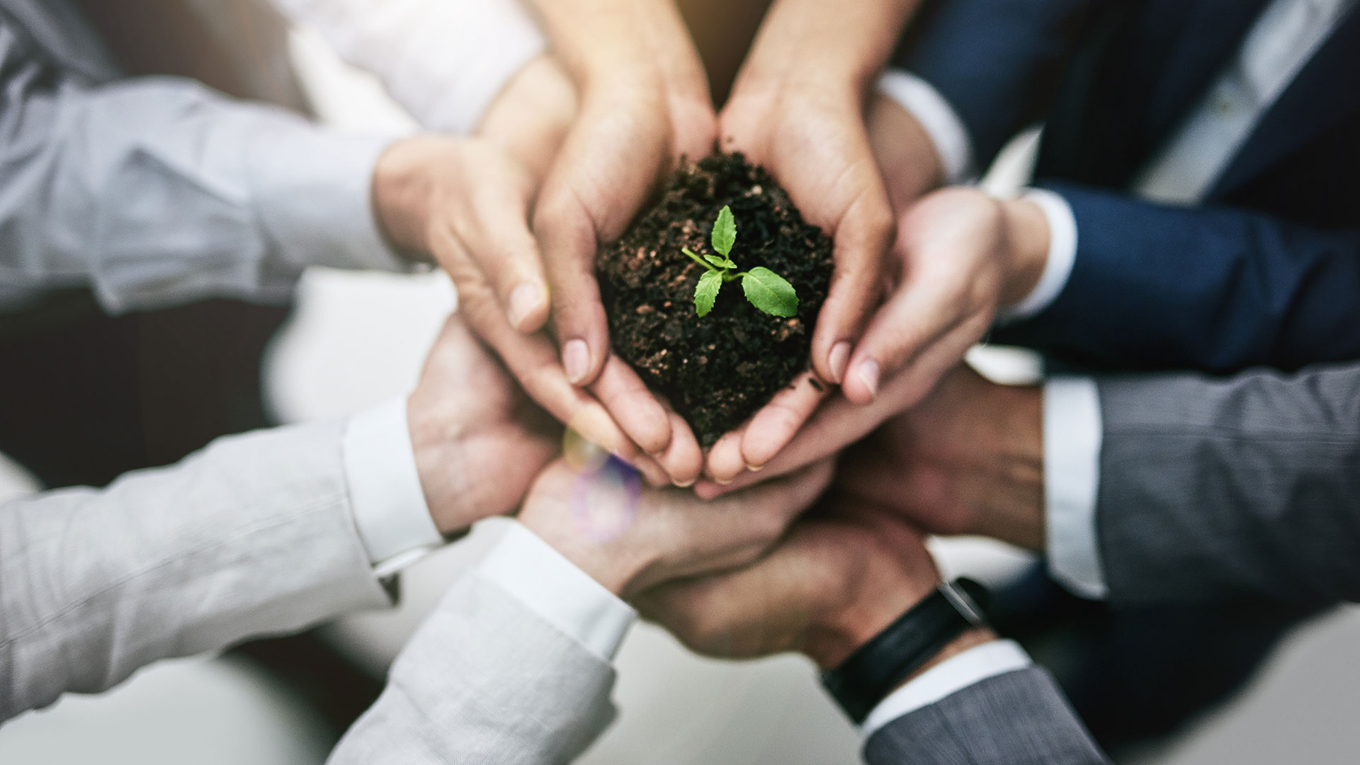 What is a social enterprise? Everything you need to know The Big Issue