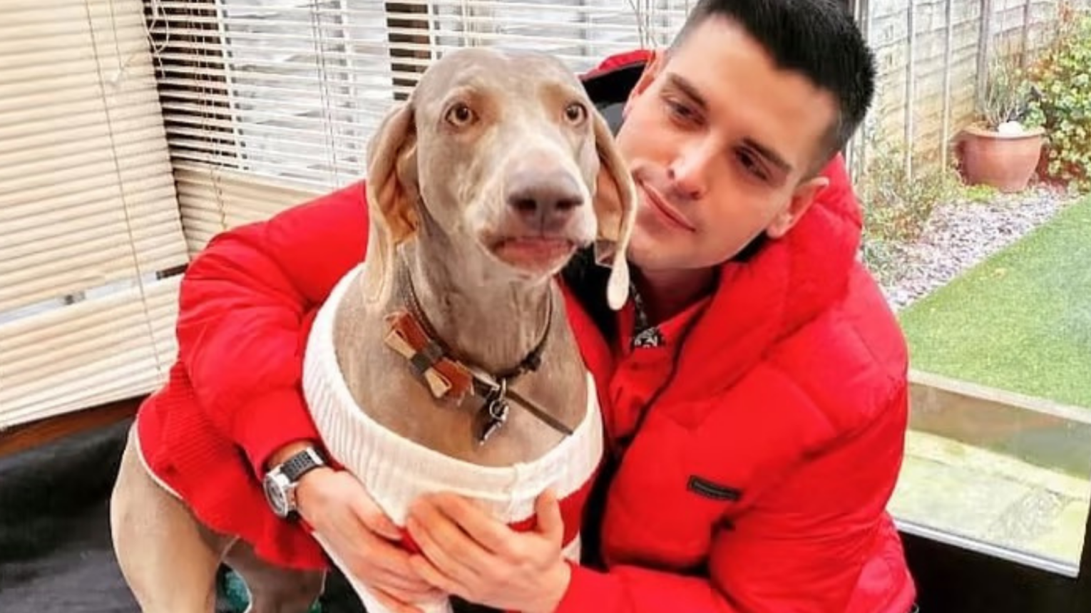 Jasmine's Law Fight goes on to stop 'cruel' no pets clauses for