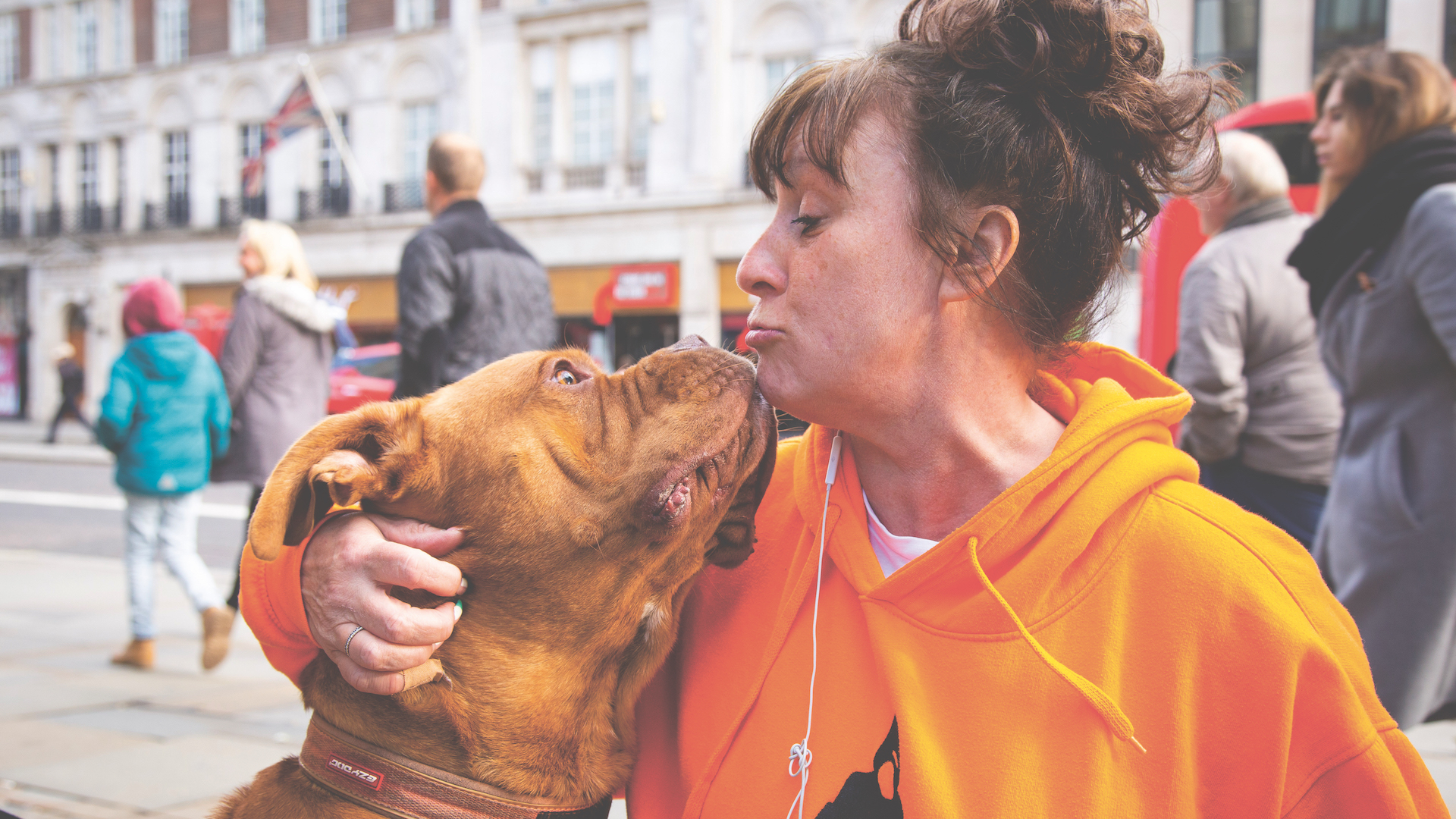 Should Homeless Have Dogs