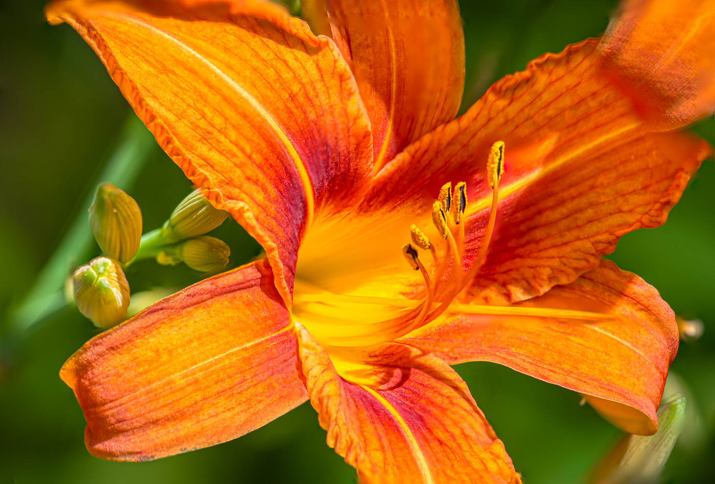 Hamilton Beach June 2019 craigshots photography