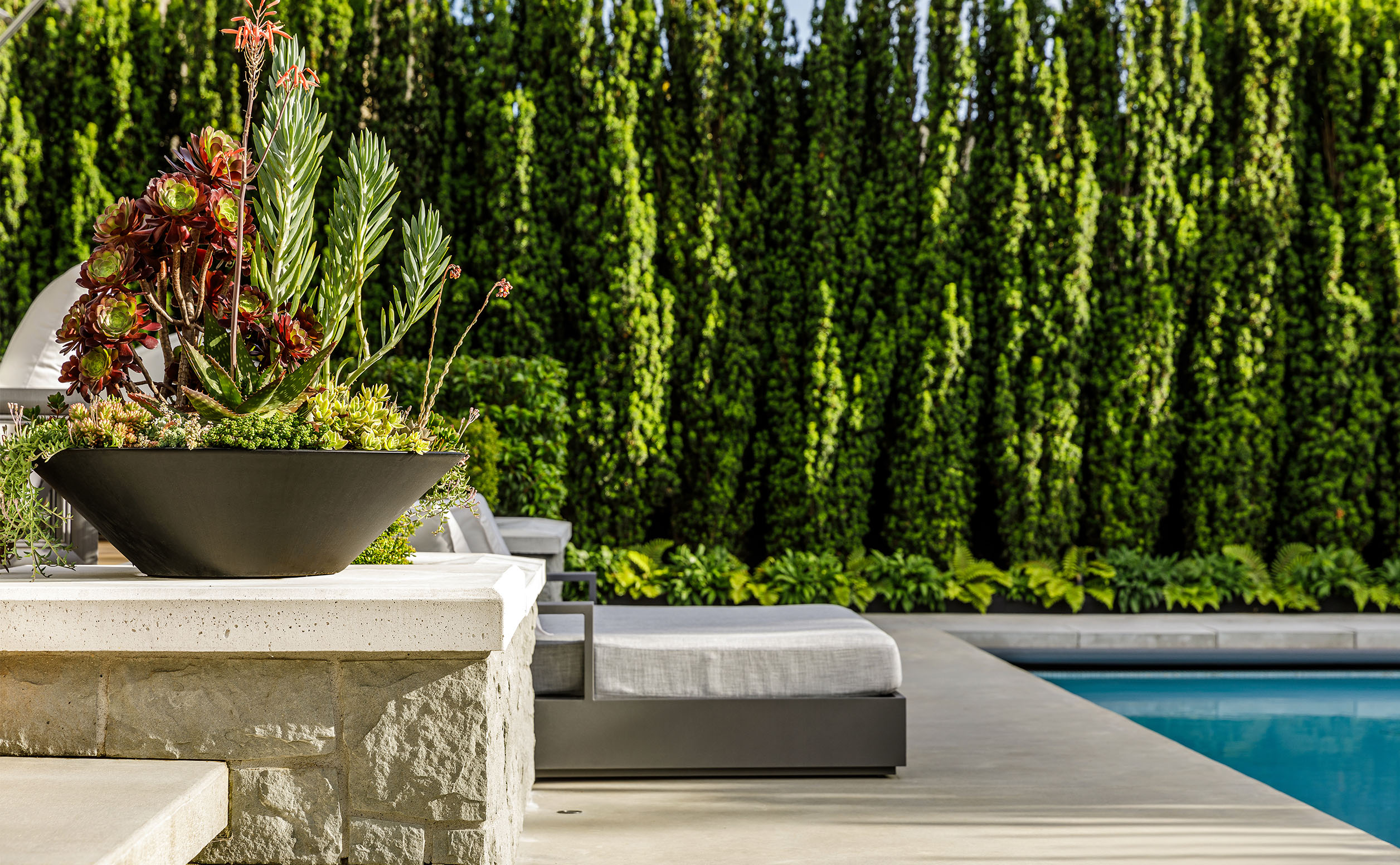 Donohoe Living Landscapes