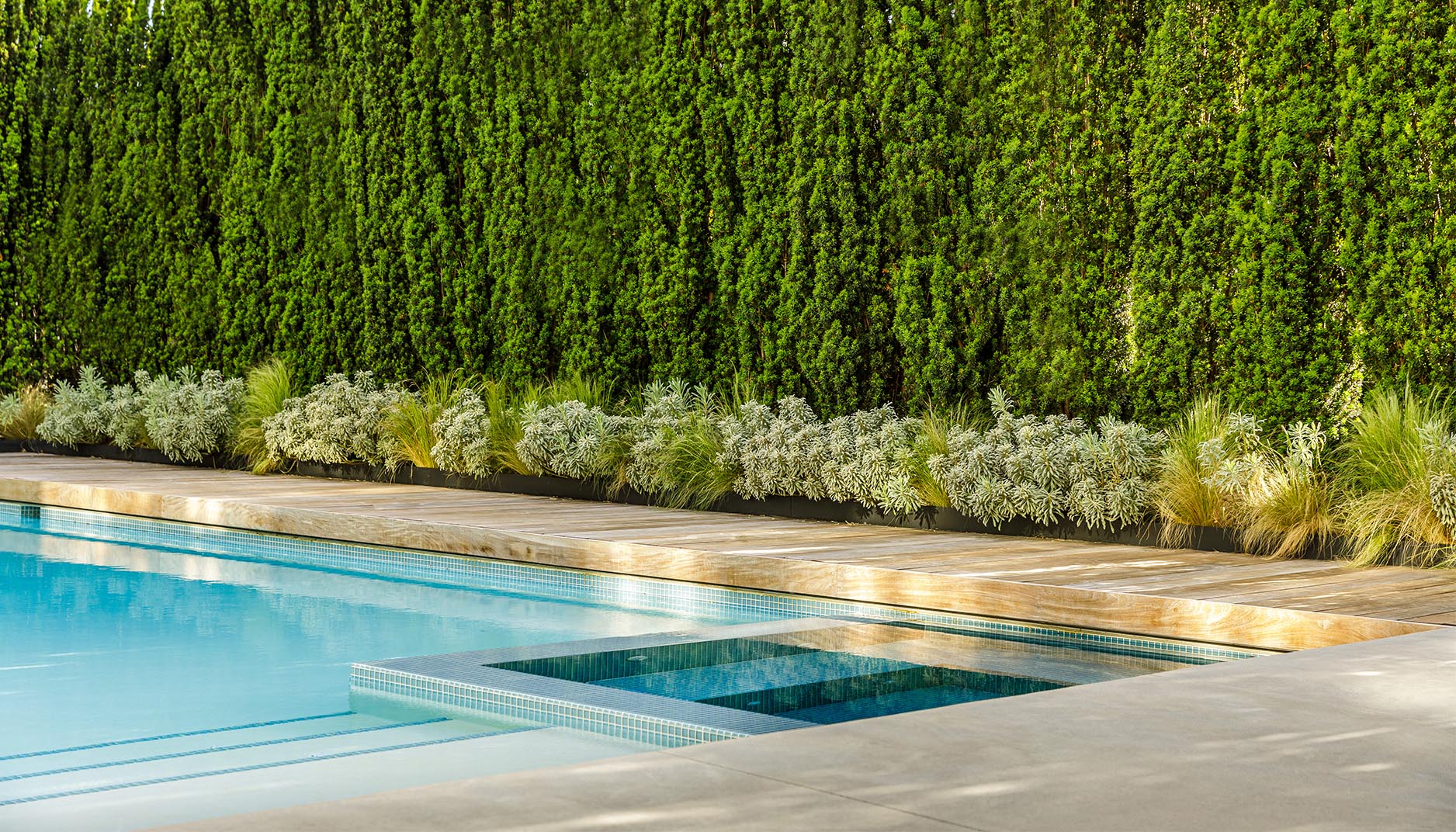 Donohoe Living Landscapes