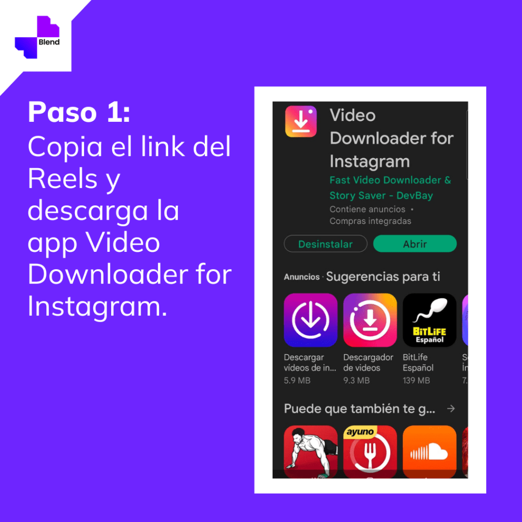 Descargar Reels de Instagram