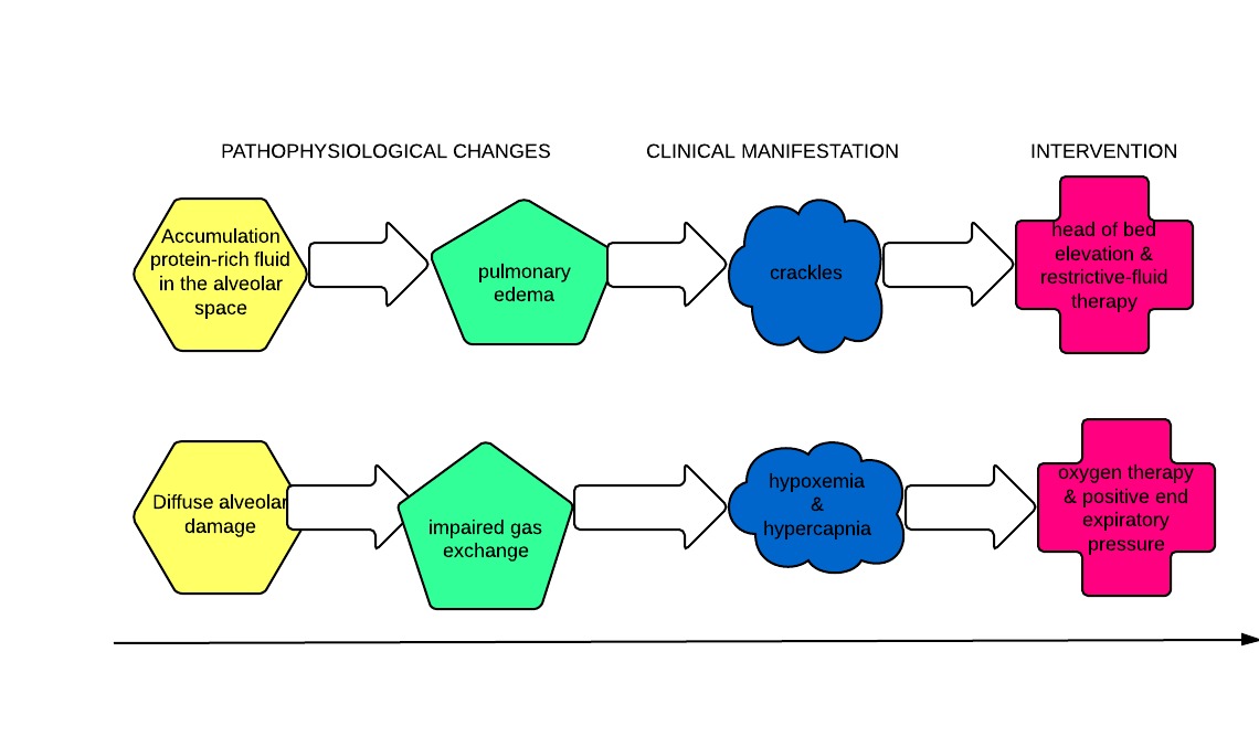 Concept Map For Acute Respiratory Distress Week 16 Screencasting & multimedia Darlene Burke