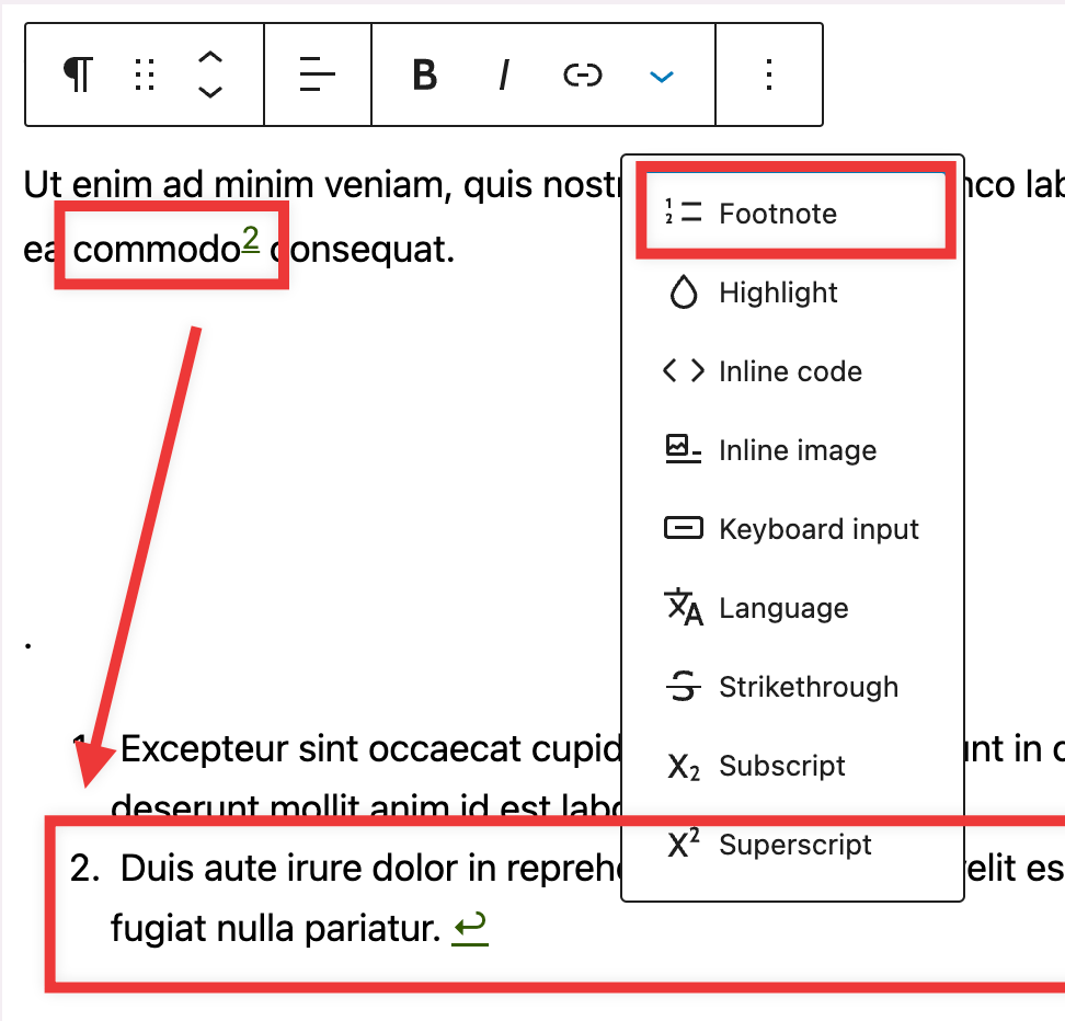Footnotes block Documentation