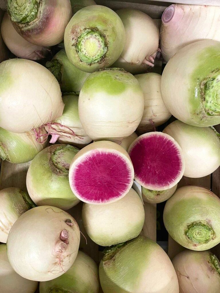 Tout savoir sur le radis red meat Potager City