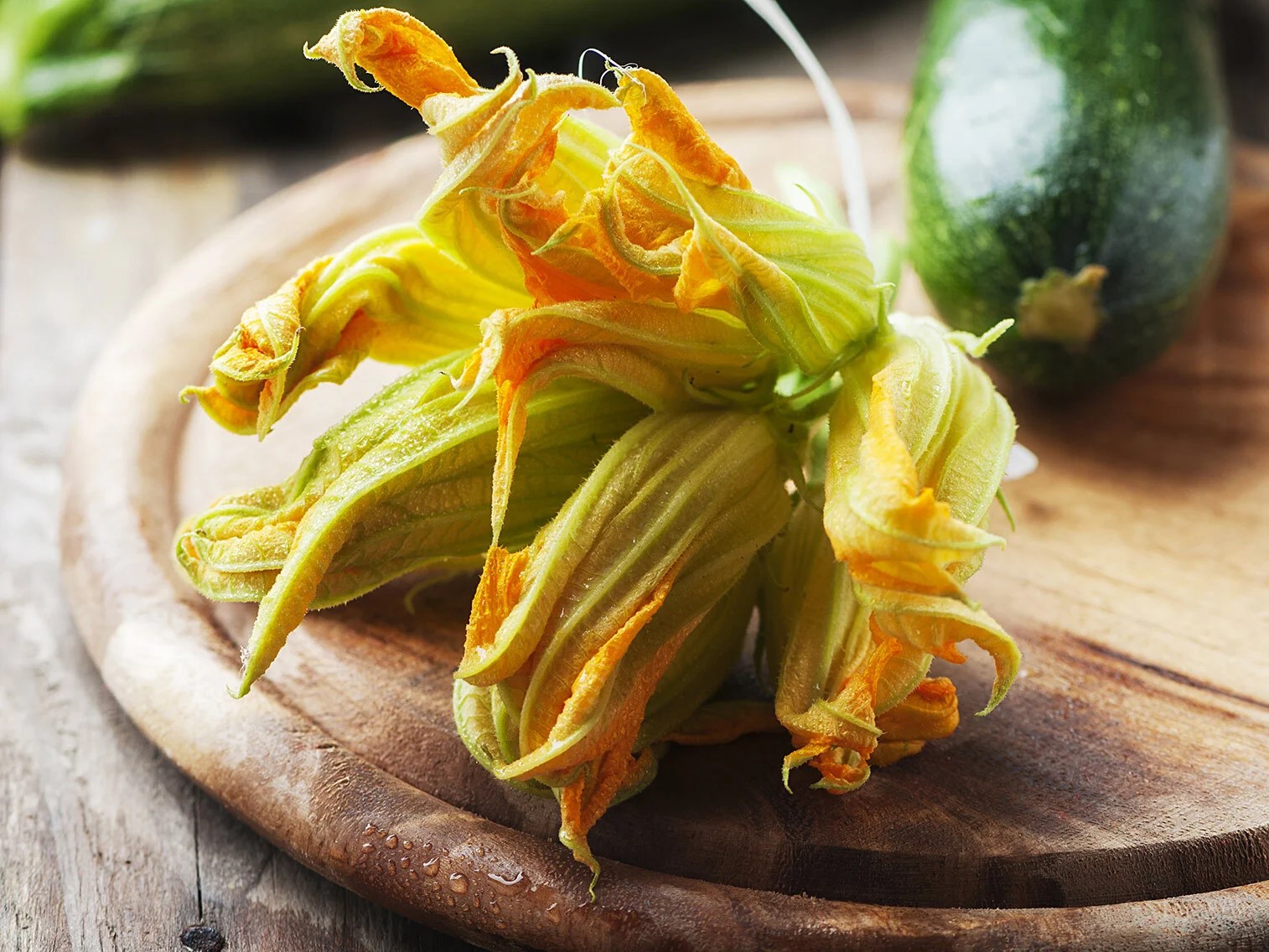 Tout savoir sur la fleur de courgette Potager City