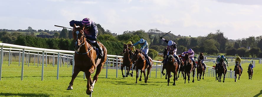 Horse Racing Calendar 2023 Ireland