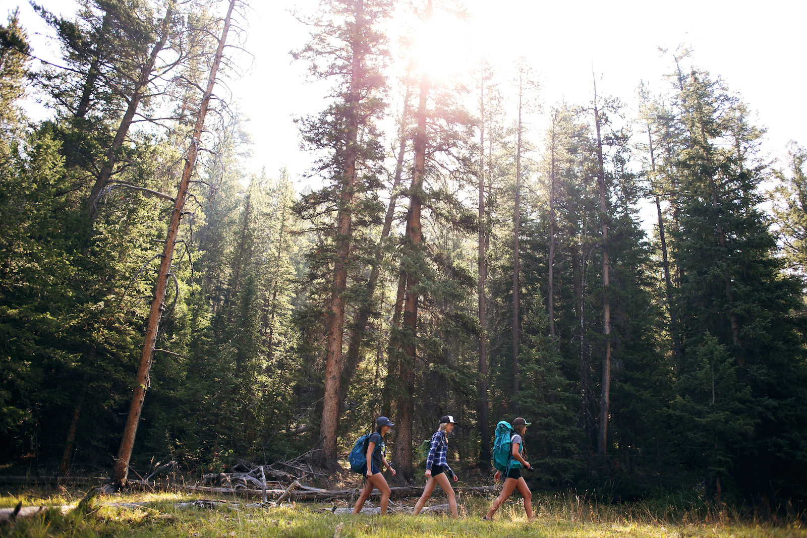 Hiking in Sun Valley, Idaho A Summer Guide Visit Sun Valley