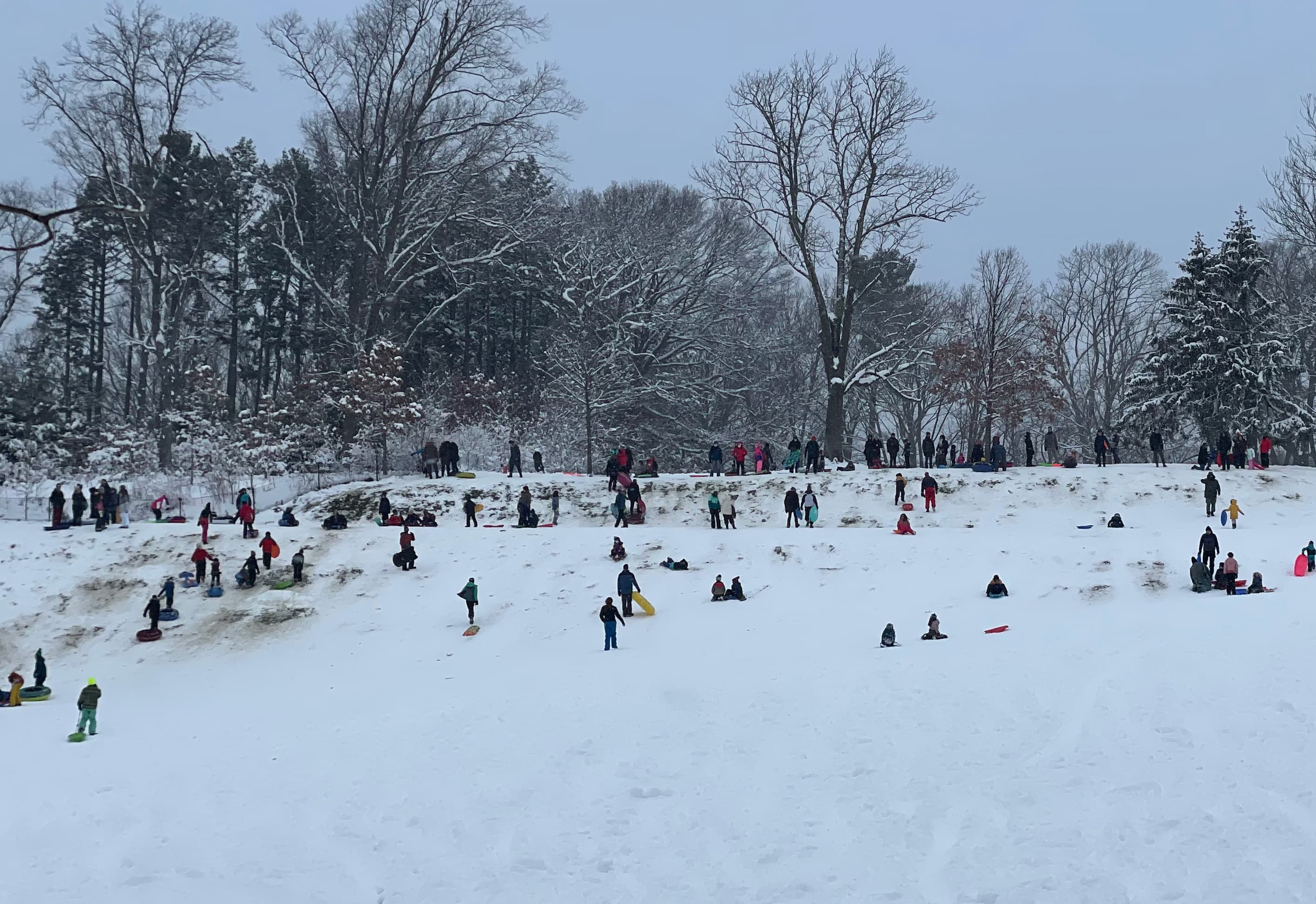 It actually snowed on Cambridge's third snow day this week WBUR News