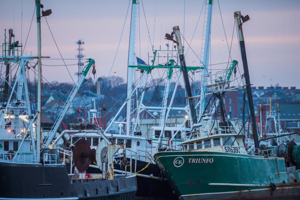 America’s biggest scallopers want changes to regulations preventing(02)