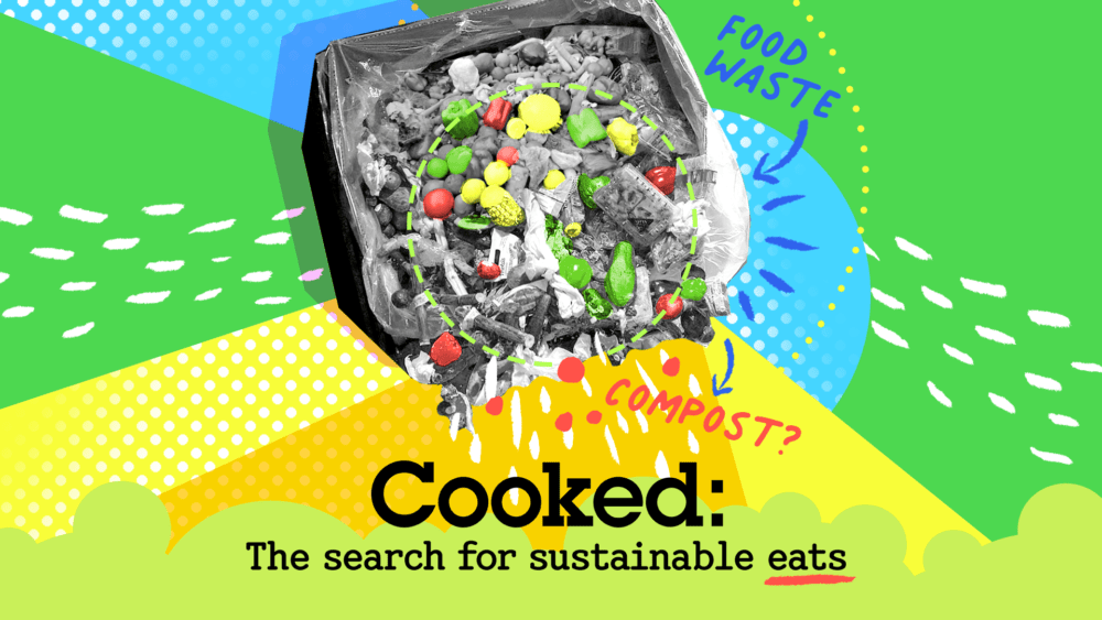 Cooked How can I throw away less food? WBUR News