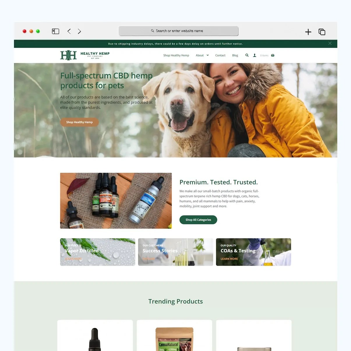 Healthy Hemp Pet site Redevelopment WordPress Development Agency