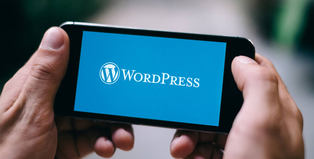 Customising WordPress Plugins Wordpress programmers