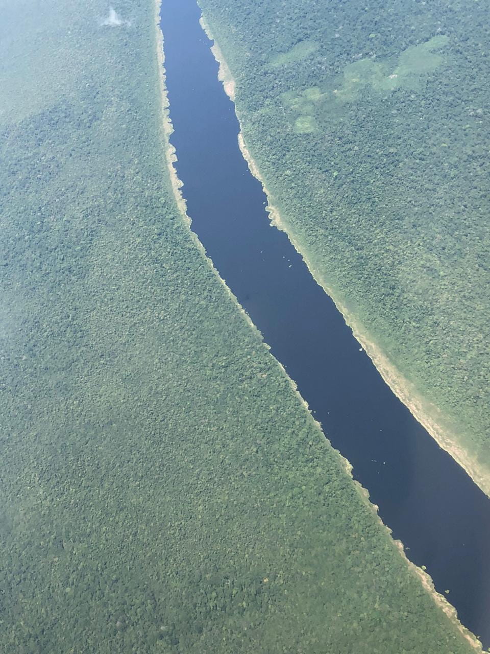 Photos Amazon TreeRing Research