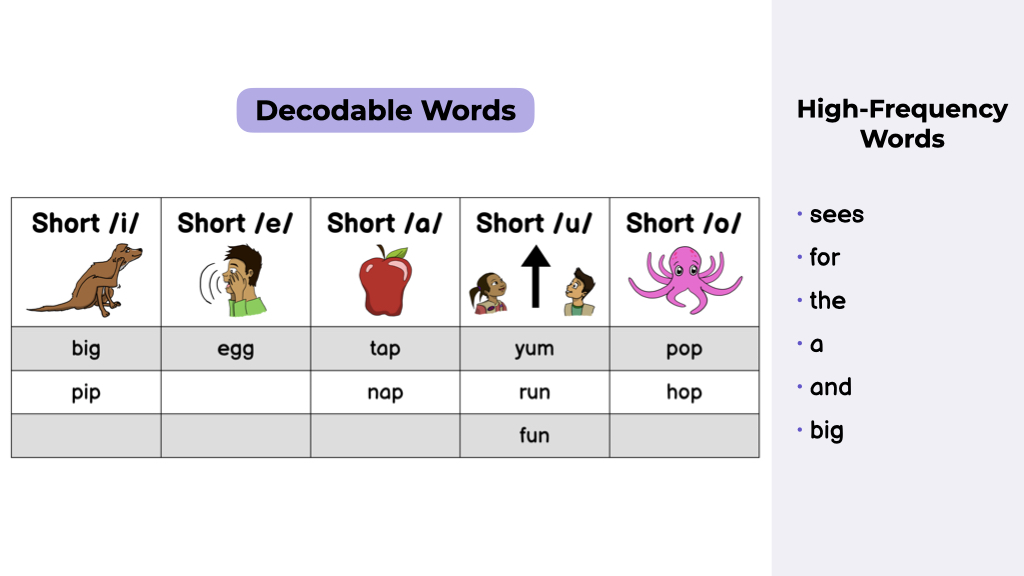 Big Baby Bird Story WordScientists