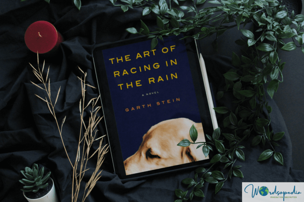 The Art Of Racing In The Rain Heartbreaking and wonderful Wordsopedia