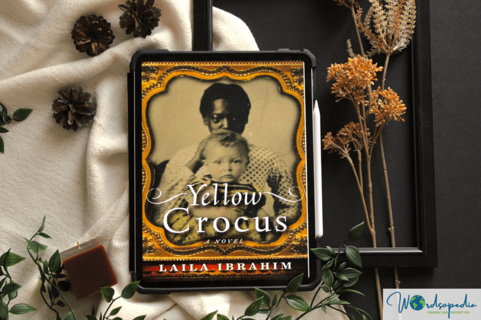 Yellow Crocus Sugarcoated and Predictable Wordsopedia