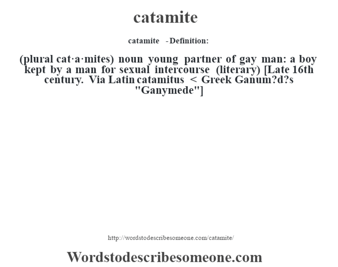 catamite definition catamite meaning words to describe
