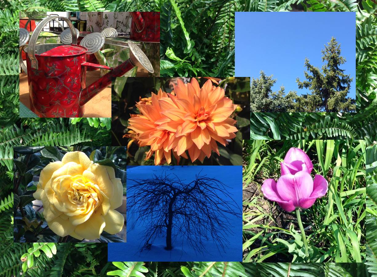 How Does Your Garden Grow? Word Wacker