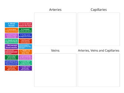 Venn - Teaching resources