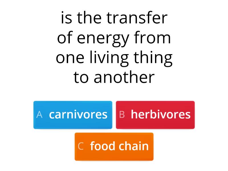 Food Chain game Quiz