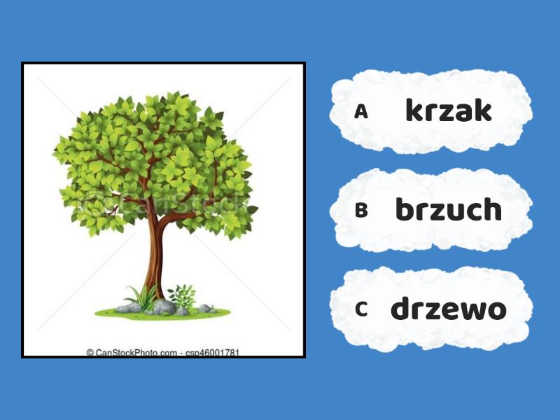 Słowa z rz i ż Quiz