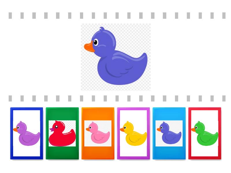 Colour ducks Find the match