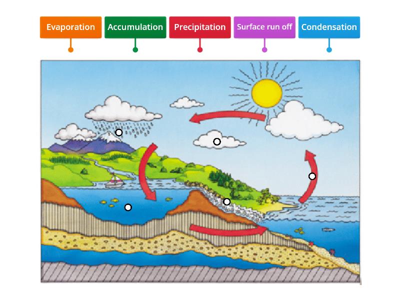 Water Cycle Diagram 9xU - Labelled diagram